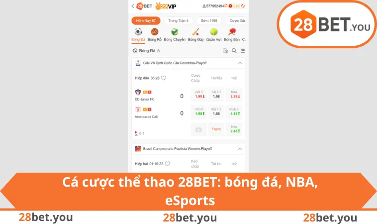 Cá cược thể thao 28BET: bóng đá, NBA, eSports