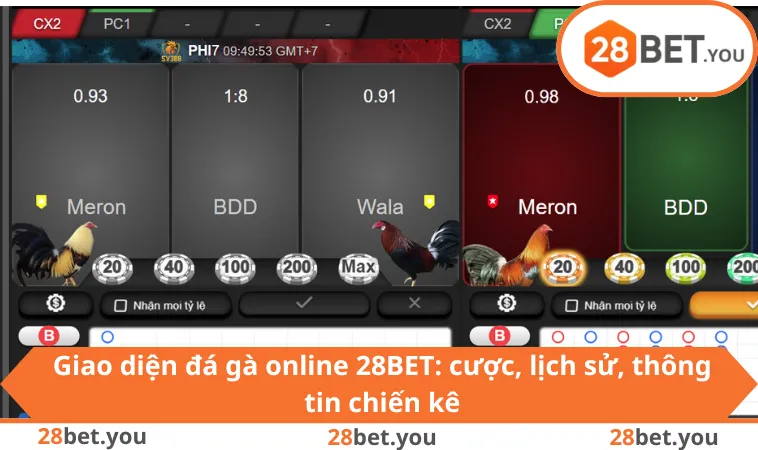 Giao diện đá gà online 28BET: cược, lịch sử, thông tin chiến kê